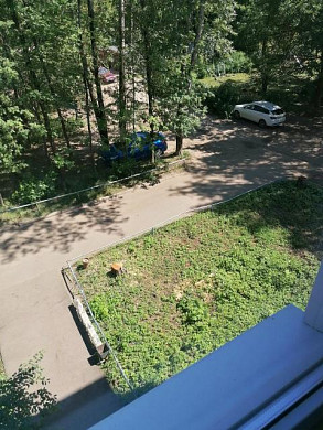 Пока женщина была на даче, во дворе ее дома спилили деревья